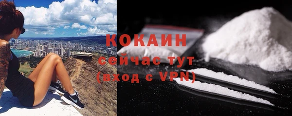 прущие грибы Куйбышев