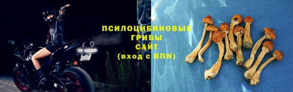 соль курить ск Кулебаки