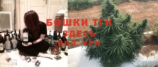 прущие грибы Куйбышев