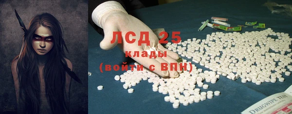 прущие грибы Куйбышев